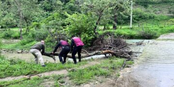 Plan Tamaulipas en Tula