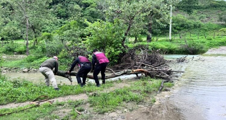 Plan Tamaulipas en Tula