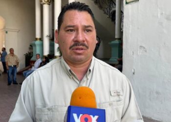 precauciones para evitar incidentes en casa