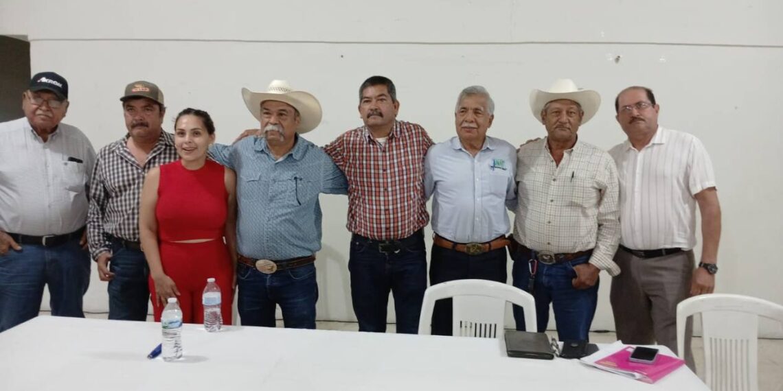 precio del sorgo y el maíz en Tamaulipas