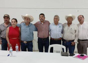 precio del sorgo y el maíz en Tamaulipas
