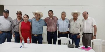 precio del sorgo y el maíz en Tamaulipas