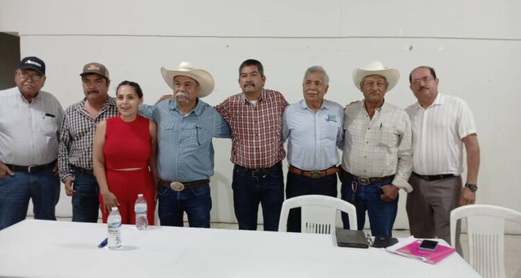 precio del sorgo y el maíz en Tamaulipas