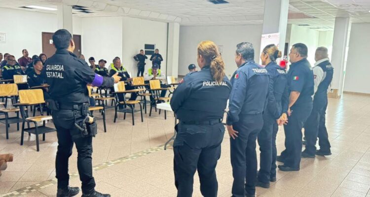 prevención de la violencia con perspectiva de género