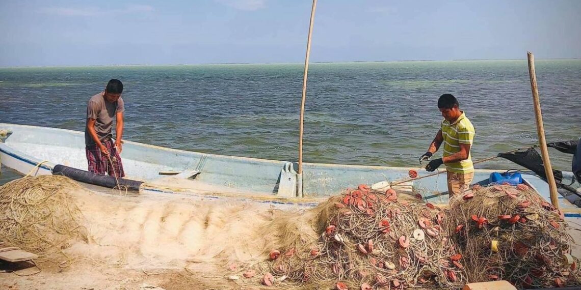 producción pesquera en Tamaulipas