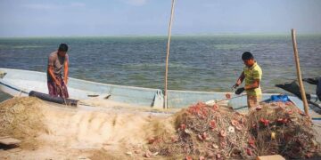 producción pesquera en Tamaulipas