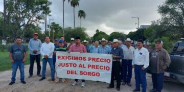 productores de sorgo norte de Tamaulipas