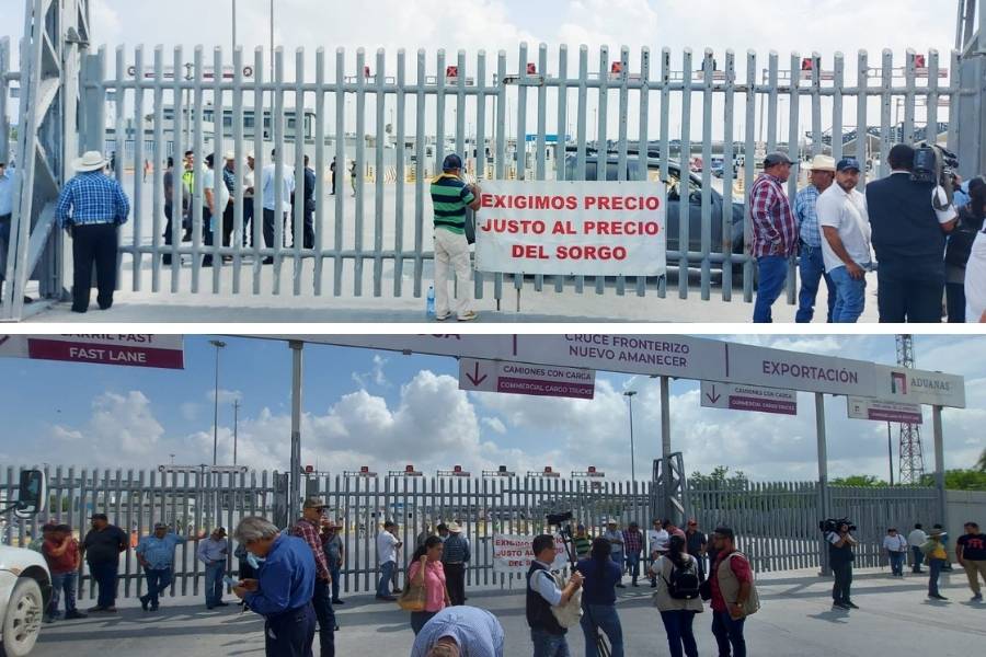 productores de sorgo norte de Tamaulipas