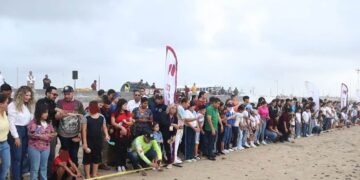 protección de la tortuga Lora