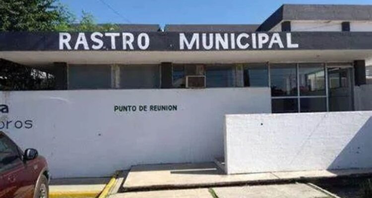 rastro municipal en Matamoros