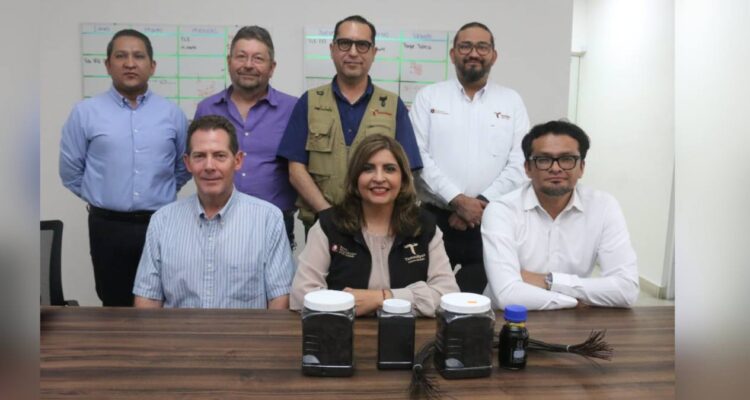 reciclaje de llantas en Tamaulipas