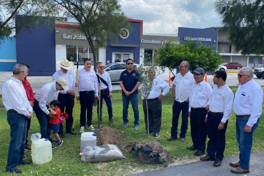 reforestación en Matamoros
