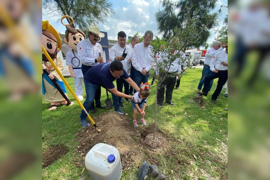 reforestación en Matamoros