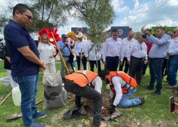 reforestación en Matamoros