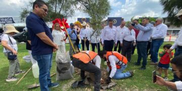 reforestación en Matamoros