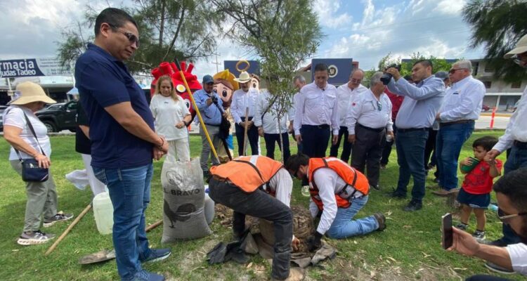 reforestación en Matamoros
