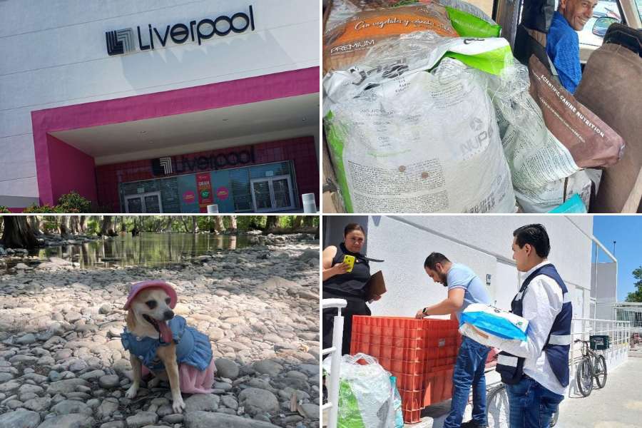 refugio de animales en Ciudad Victoria