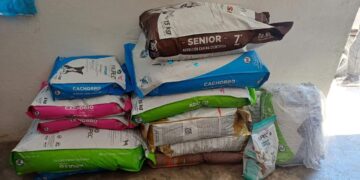 refugio de animales en Ciudad Victoria