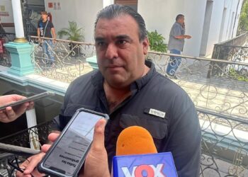 Crece en Ciudad Victoria, Tamaulipas, el número de reportes por víboras, abejas y animales exóticos