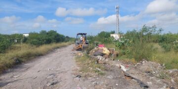 sanciones por tirar basura en Matamoros