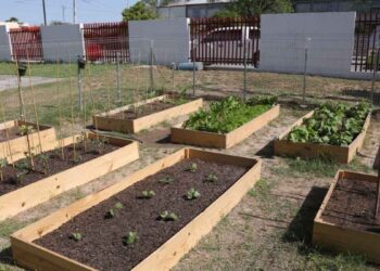 taller medio ambiente Nuevo Laredo