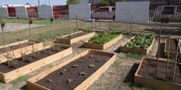 taller medio ambiente Nuevo Laredo
