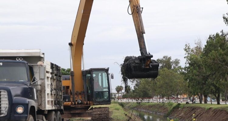 tirar basura sanción Matamoros