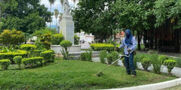 trabajo de servicios públicos en Ciudad Victoria