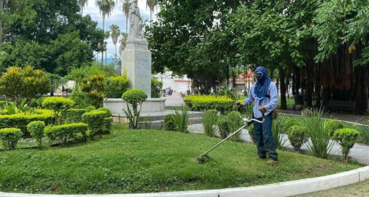 trabajo de servicios públicos en Ciudad Victoria