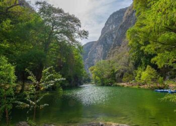 turismo en Poza Madre Tamaulipas