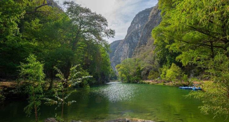 turismo en Poza Madre Tamaulipas