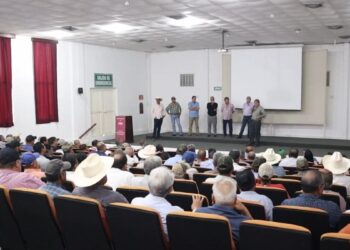 valor del sorgo y el maíz en Tamaulipas