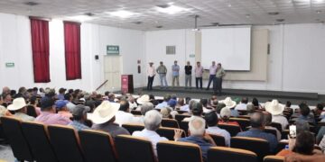 valor del sorgo y el maíz en Tamaulipas
