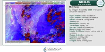 ¿Cómo estará el clima este jueves 24 de julio en Tamaulipas?