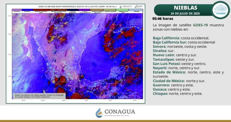 ¿Cómo estará el clima este jueves 24 de julio en Tamaulipas?
