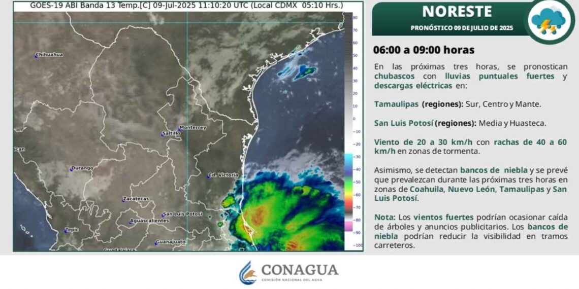¿Lloverá y habrá ráfagas de viento en Tamaulipas este miércoles?