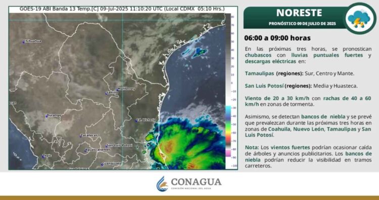 ¿Lloverá y habrá ráfagas de viento en Tamaulipas este miércoles?