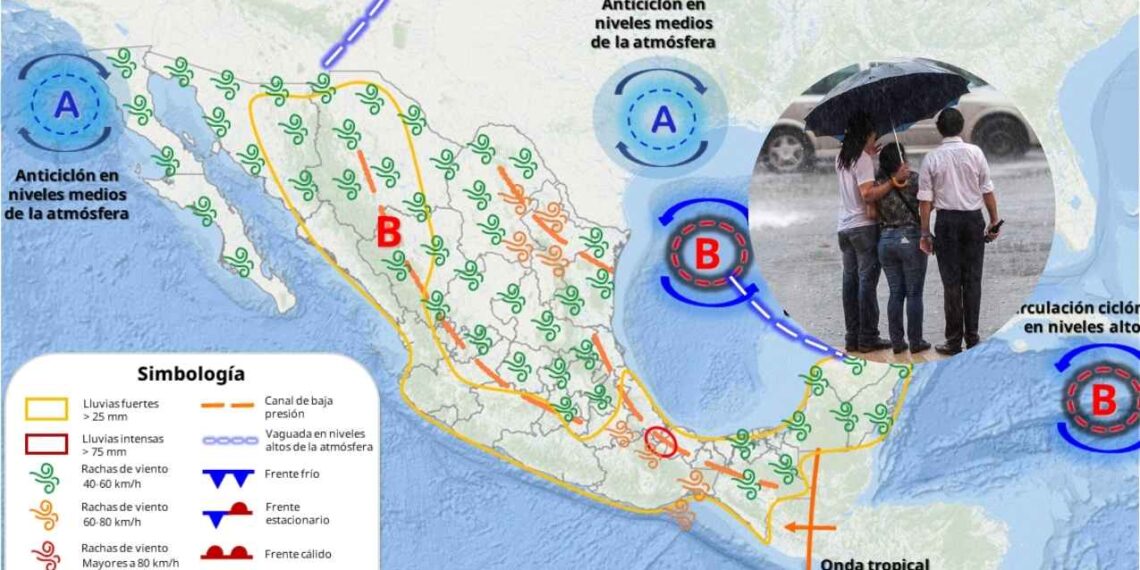 Lunes 28 de julio clima