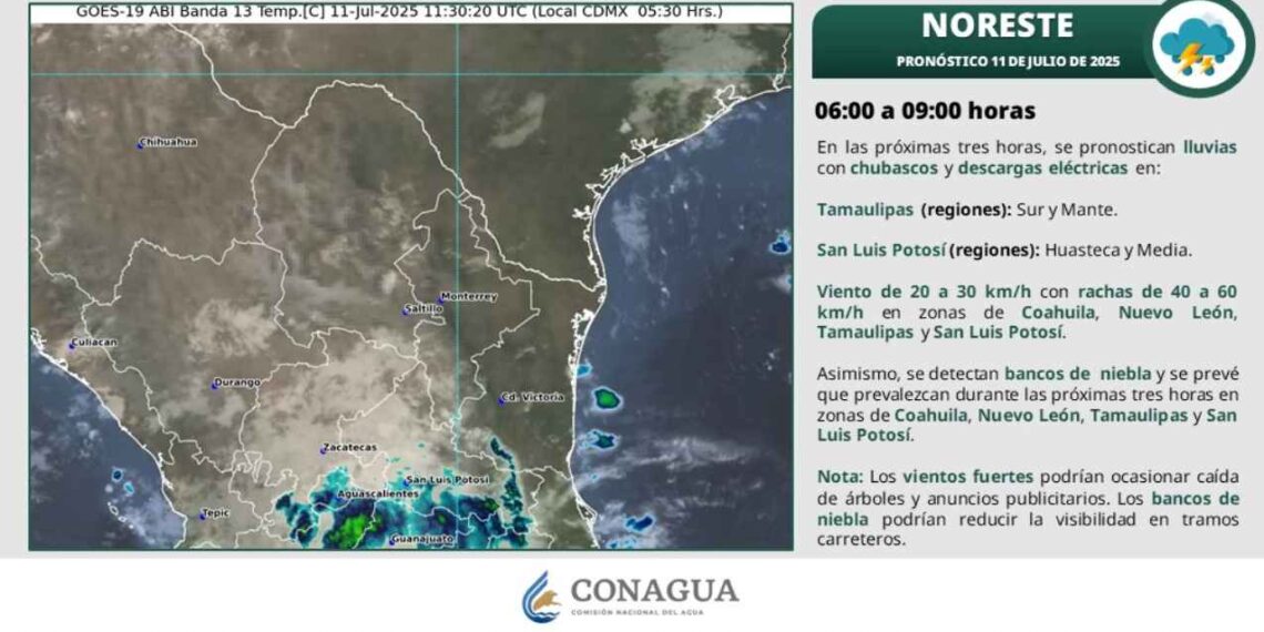 ¿Tamaulipas tendrá chubascos y vientos intensos este viernes?