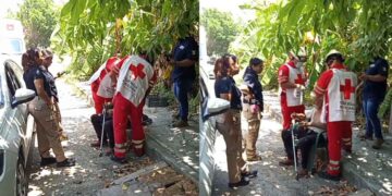 Abuelito resulta herido en El Mante, Tamaulipas tras caerse en plena vía pública