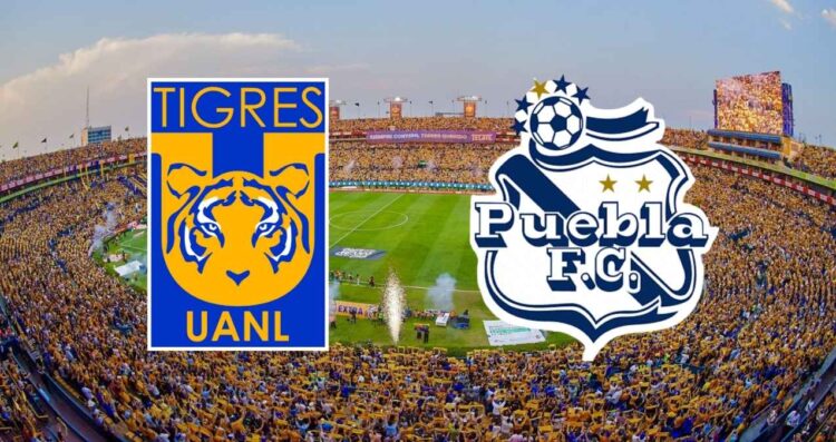 Tigres Puebla