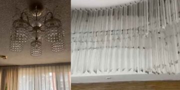 Así ocurrió el sismo de 5.9 en Tlacolula, Oaxaca; se percibió en la CDMX
