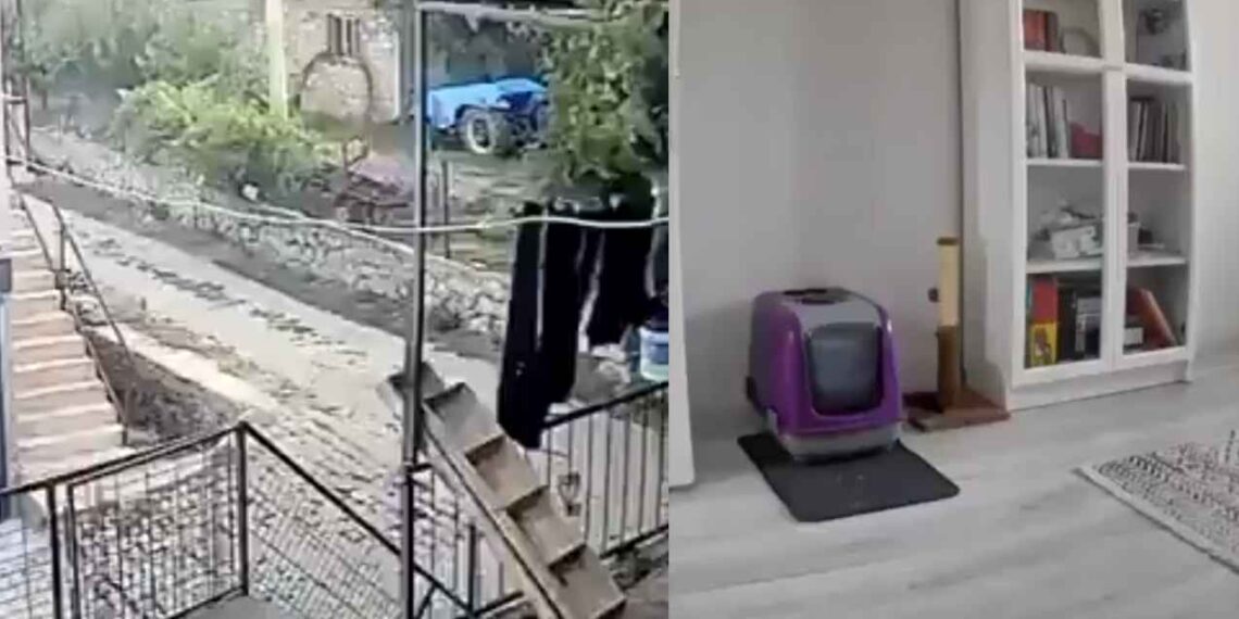 Así ocurrió el sismo de 6.1 en Turquía | VIDEOS