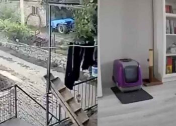 Así ocurrió el sismo de 6.1 en Turquía | VIDEOS