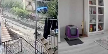 Así ocurrió el sismo de 6.1 en Turquía | VIDEOS