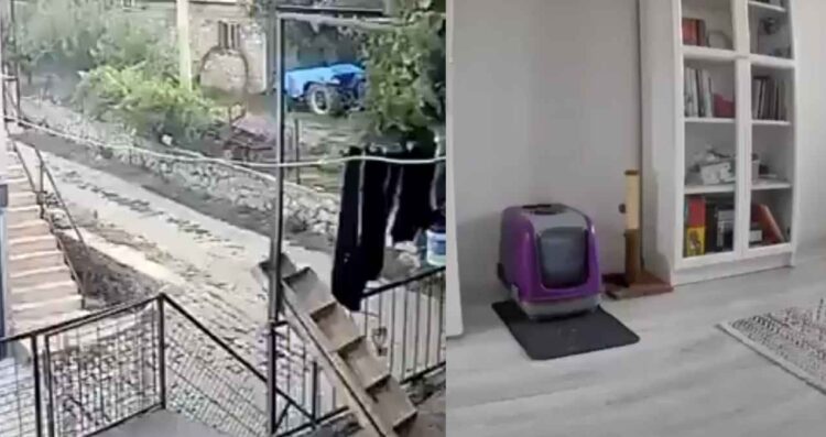 Así ocurrió el sismo de 6.1 en Turquía | VIDEOS