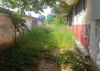 50 escuelas Tampico enmontadas