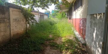 50 escuelas Tampico enmontadas