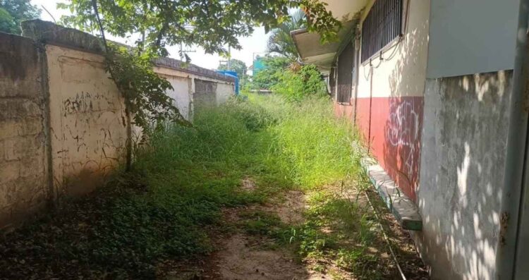 50 escuelas Tampico enmontadas