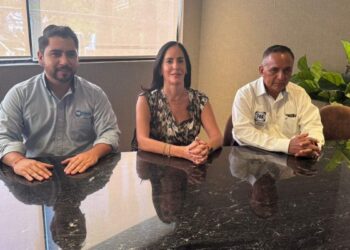 Comité Consultivo Ciudadano PAN